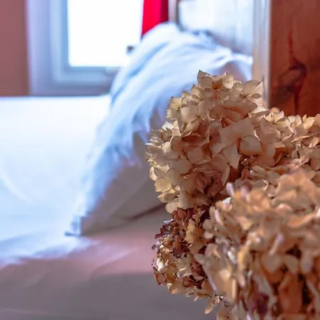 Feriehus Family By Victoria Park With Garden *