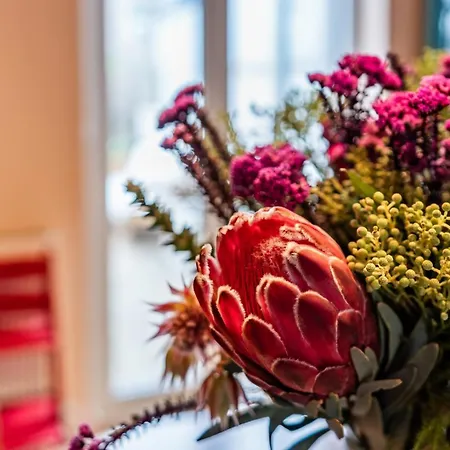 Vakantiehuis Family & Pet-friendly Home, Near Park