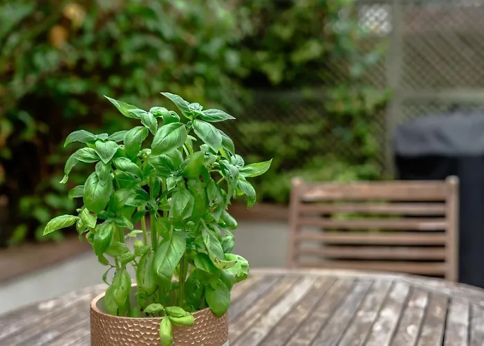 Family & Pet-friendly Home, Near Park Vakantiehuis *